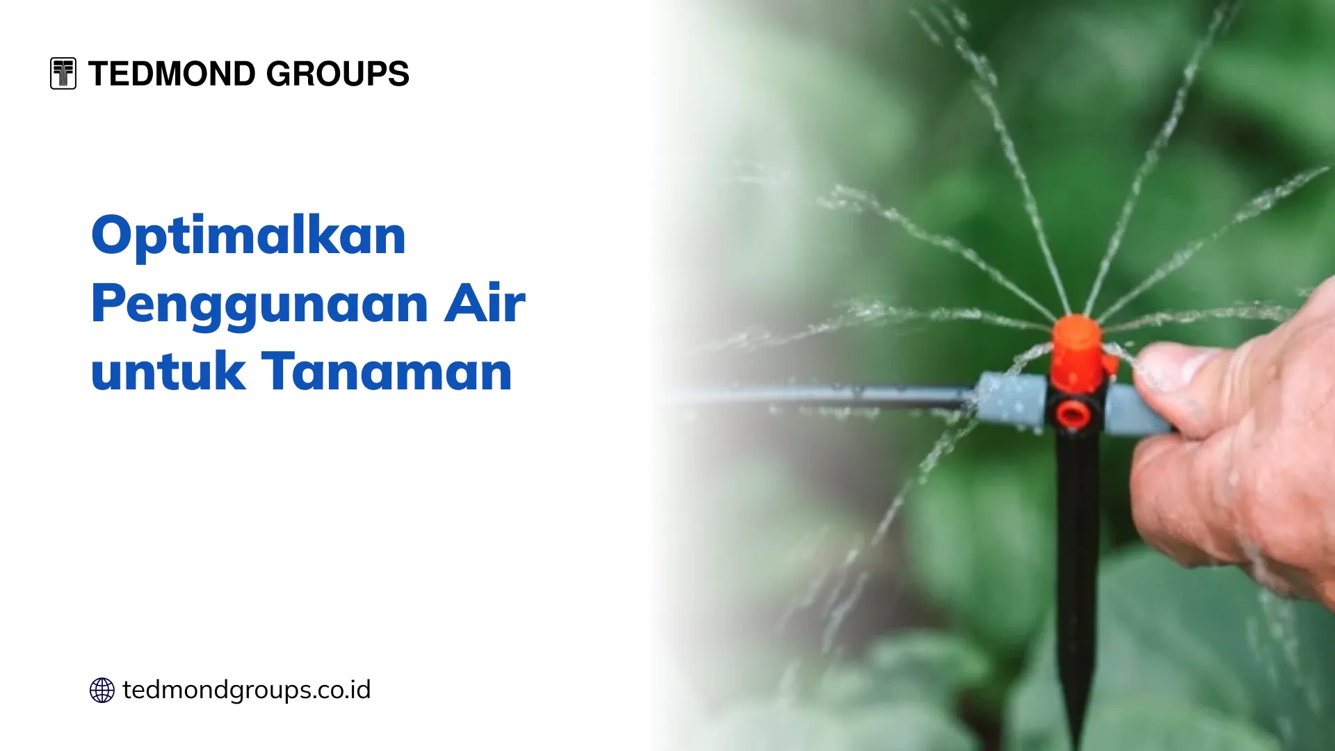 Optimalkan penggunaan air untuk tanaman 1x