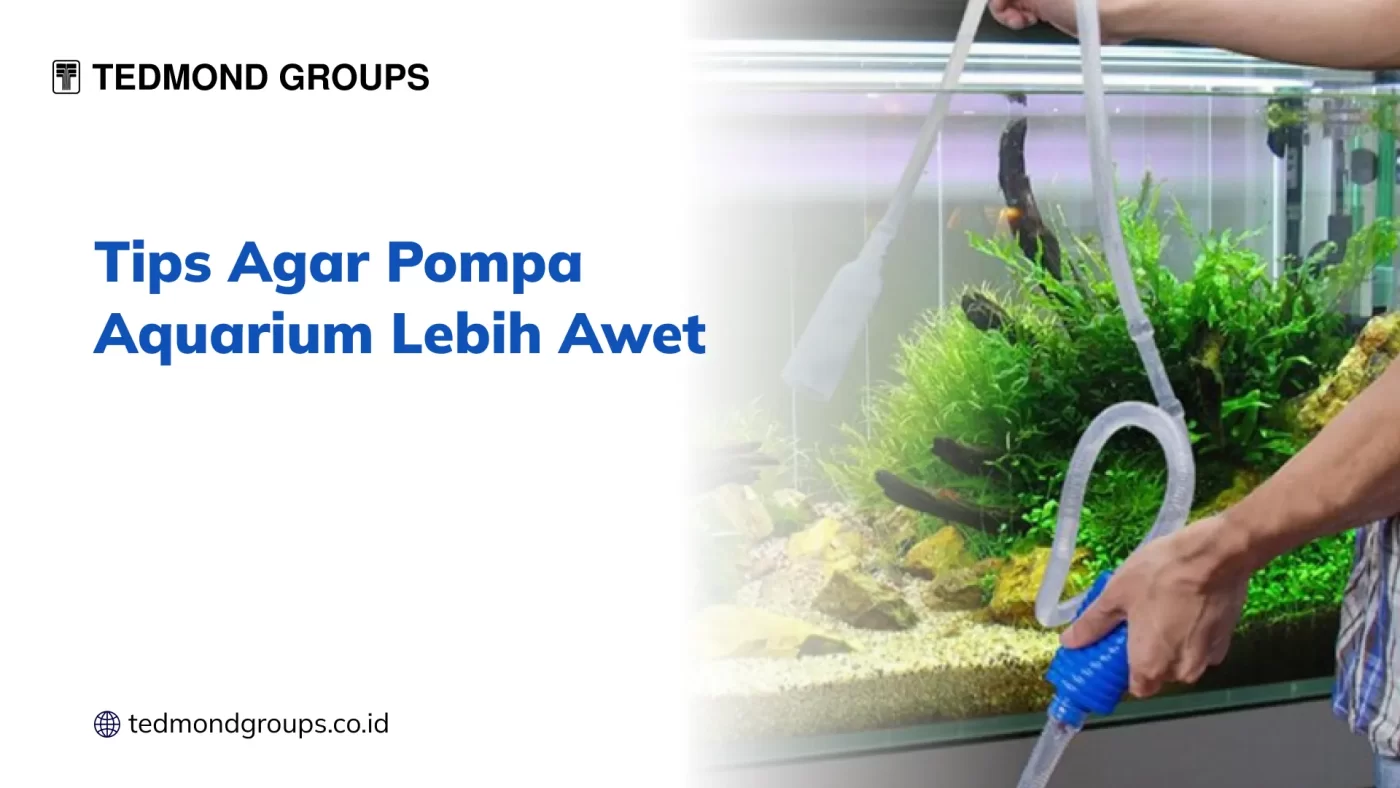 Tips Agar Pompa Aquarium Lebih Awet