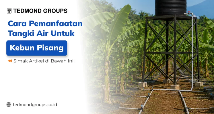 Cara Pemanfaatan Tangki Air Untuk Kebun Pisang