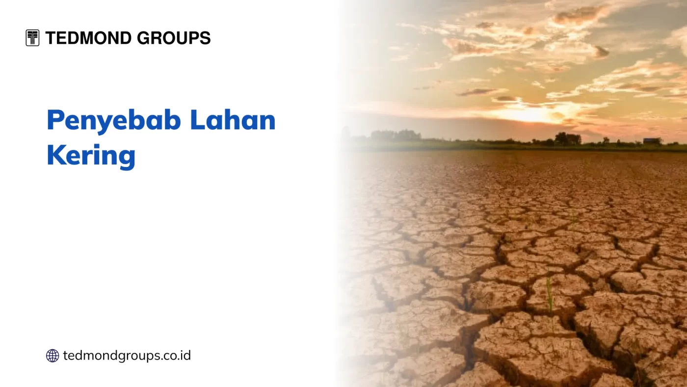 Penyebab Lahan Kering