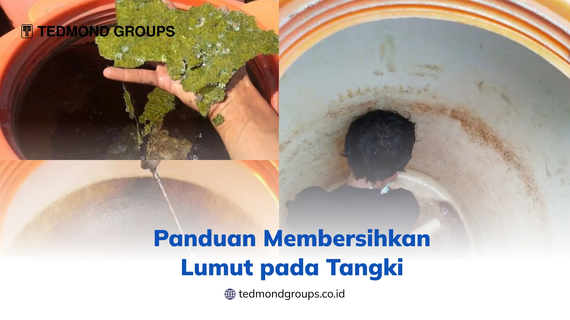 Panduan Membersihkan Lumut pada Tangki
