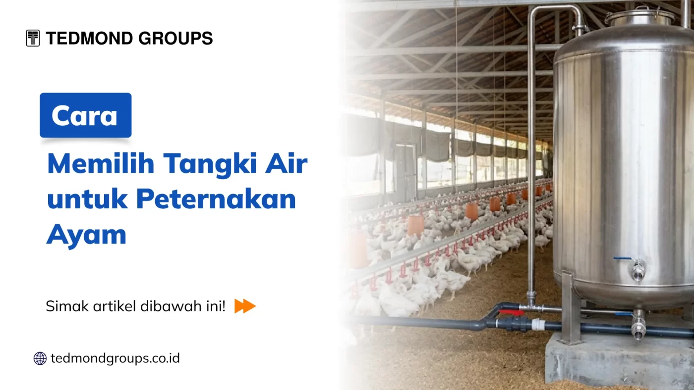 Cara Memilih Tangki Air untuk Peternakan Ayam