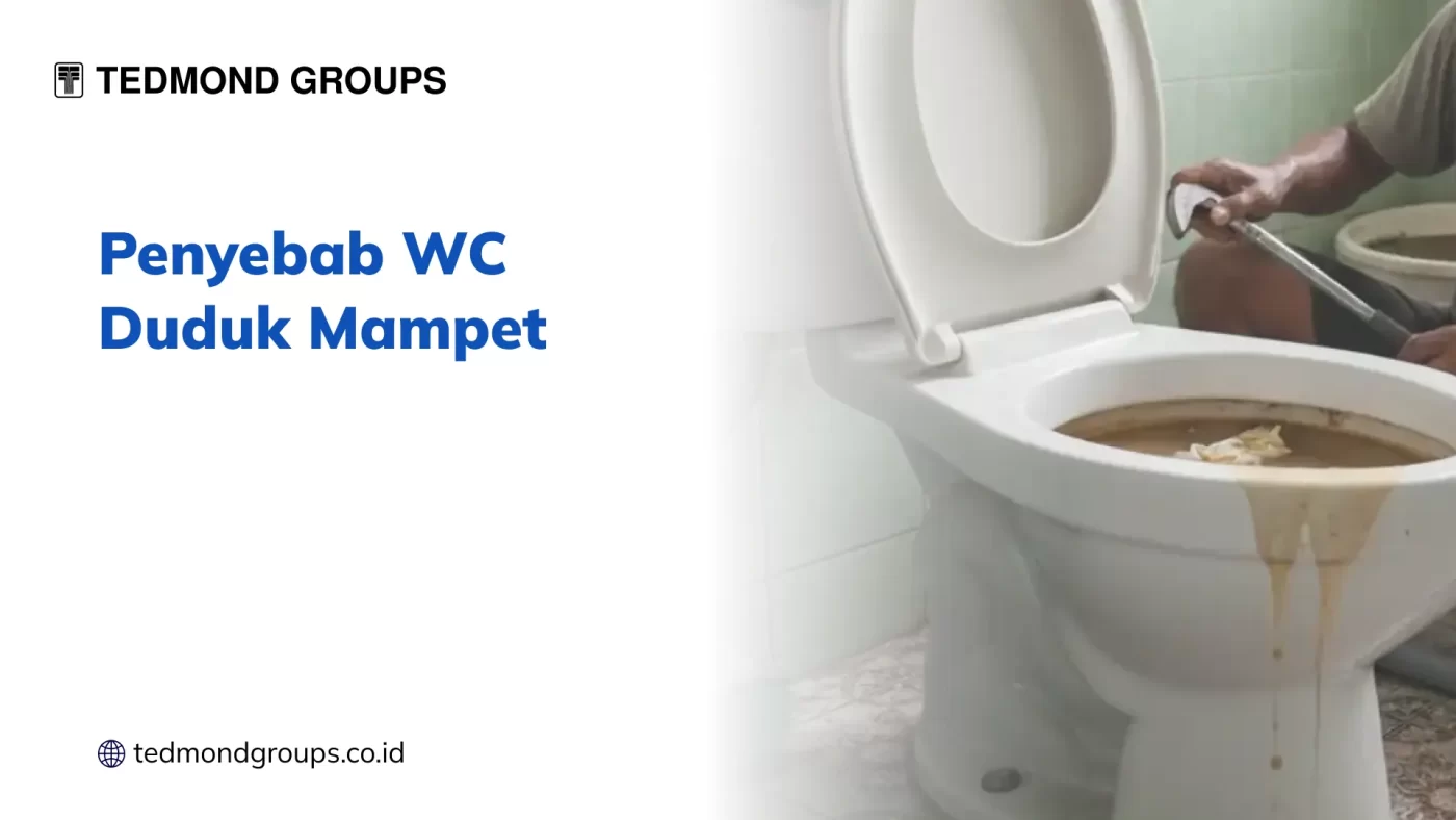 Penyebab WC Duduk Mampet