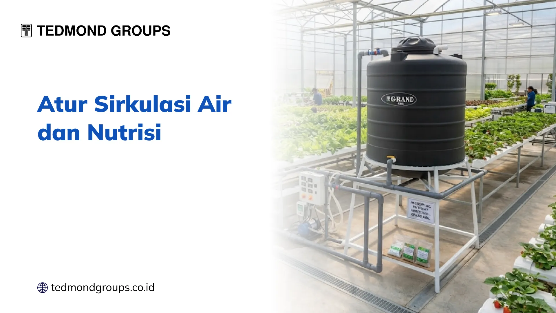 Atur Sirkulasi Air dan Nutrisi