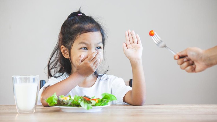 anak-sulit-makan-bagaimana-cara-penanganannya