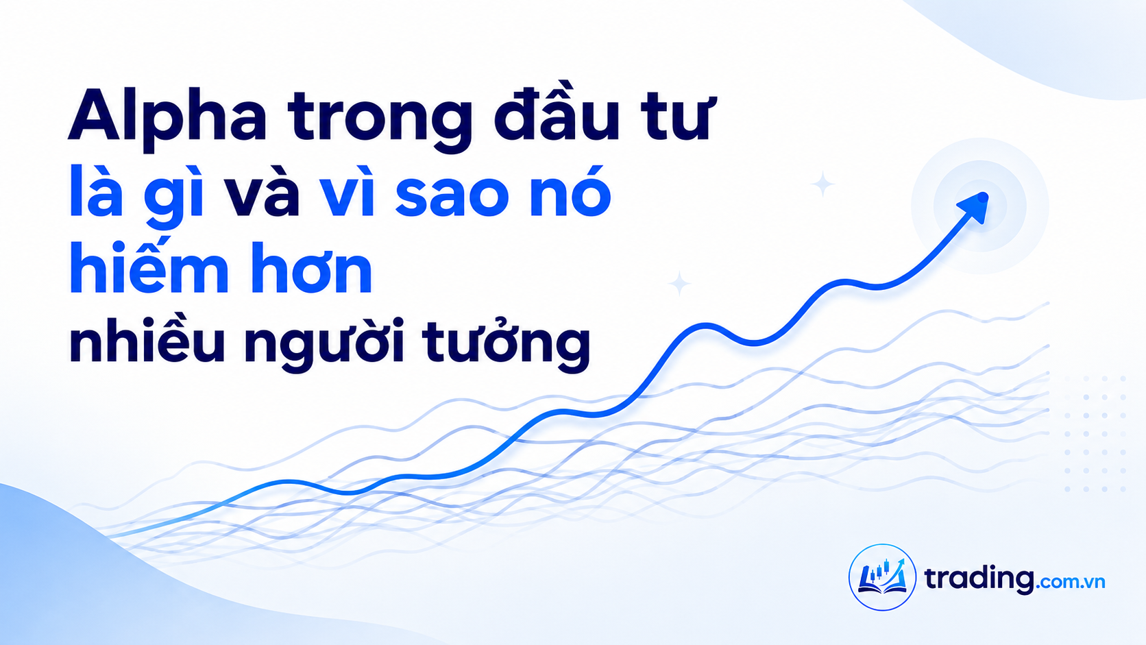 8ed121de-964b-46fd-8986-89afa2e5c005.png