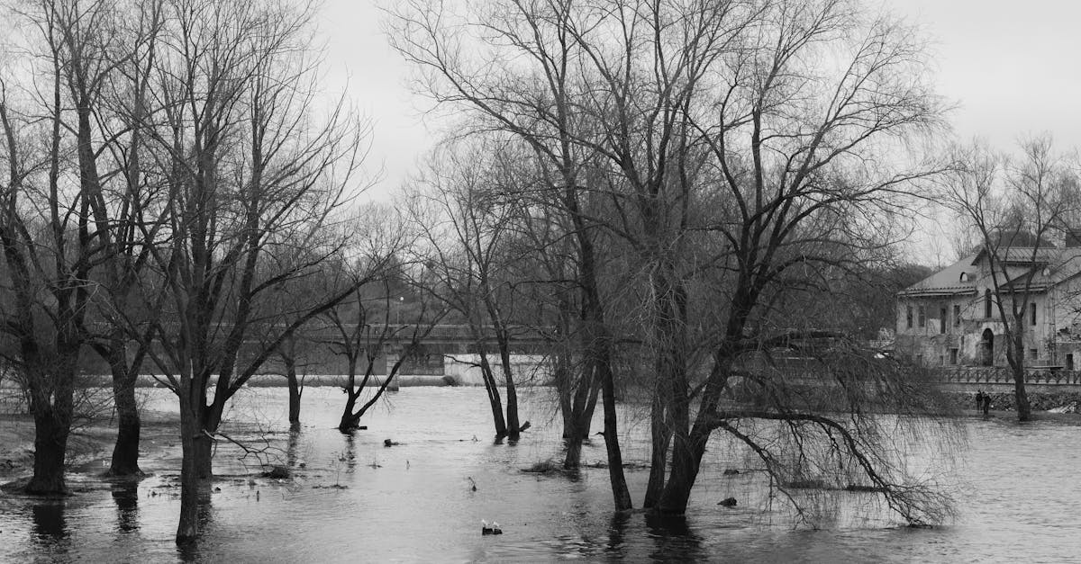 Water restoration service in Cottondale, Alabama