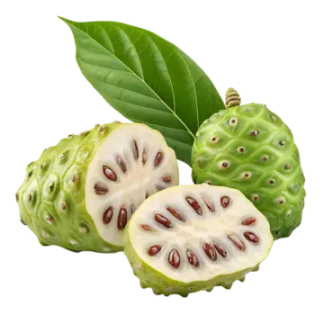 Noni