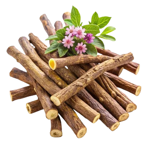 Akar licorice kering untuk mencerahkan bekas jerawat