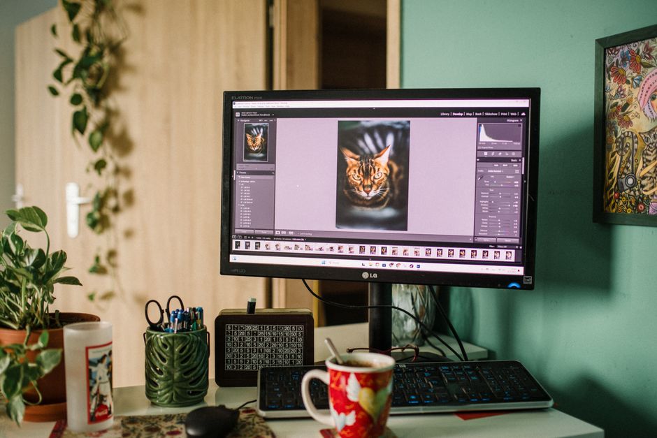 editable design layers software workspace